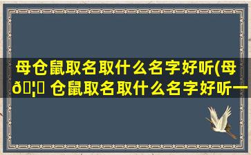 母仓鼠取名取什么名字好听(母 🦈 仓鼠取名取什么名字好听一 🌲 点)